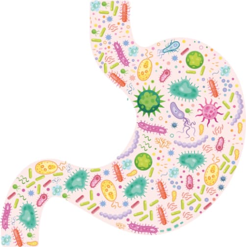 infant gut health and the microbiome