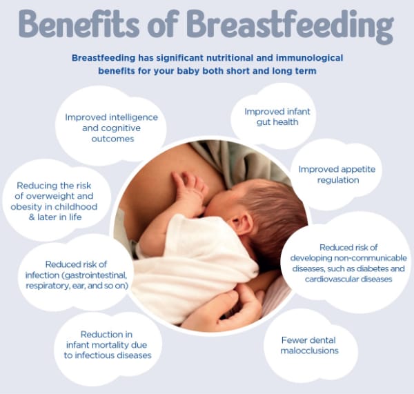 What does breastfeeding do for your body?