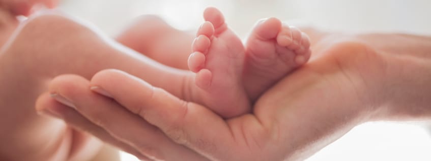 Adult hand supporting preterm baby feet