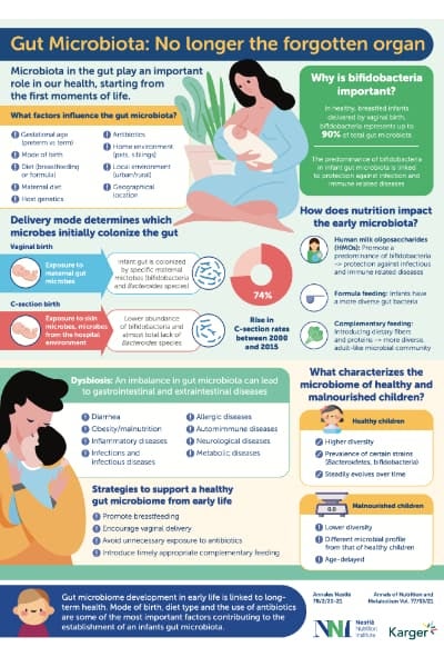 gut-microbiota-no-longer-the-forgotten-organ-thumbnail